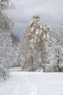 Bulgaristan 'ın Sofya kentindeki South Park' ın İnanılmaz Kış Panoraması