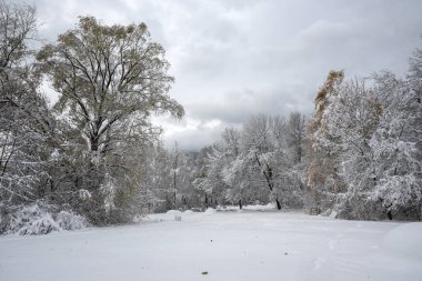 Bulgaristan 'ın Sofya kentindeki South Park' ın İnanılmaz Kış Panoraması
