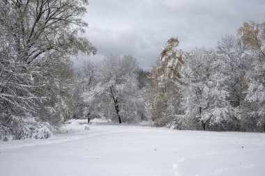 Bulgaristan 'ın Sofya kentindeki South Park' ın İnanılmaz Kış Panoraması