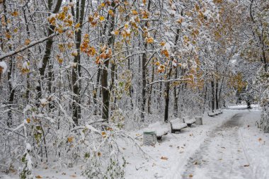 Bulgaristan 'ın Sofya kentindeki South Park' ın İnanılmaz Kış Panoraması