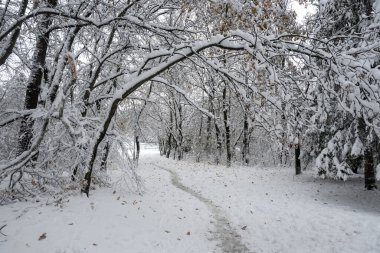 Bulgaristan 'ın Sofya kentindeki South Park' ın İnanılmaz Kış Panoraması