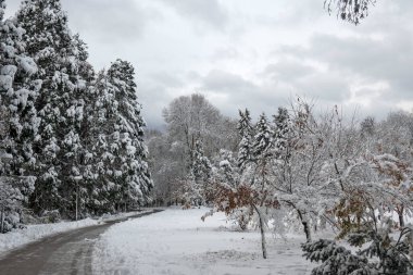 Bulgaristan 'ın Sofya kentindeki South Park' ın İnanılmaz Kış Panoraması