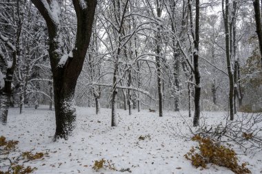 Bulgaristan 'ın Sofya kentindeki South Park' ın İnanılmaz Kış Panoraması