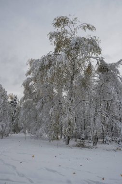 Bulgaristan 'ın Sofya kentindeki South Park' ın İnanılmaz Kış Panoraması