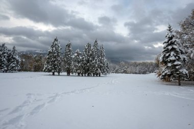 Bulgaristan 'ın Sofya kentindeki South Park' ın İnanılmaz Kış Panoraması