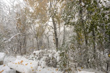 Bulgaristan 'ın Sofya kentindeki South Park' ın İnanılmaz Kış Panoraması