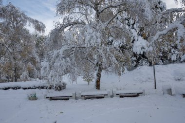 Bulgaristan 'ın Sofya kentindeki South Park' ın İnanılmaz Kış Panoraması