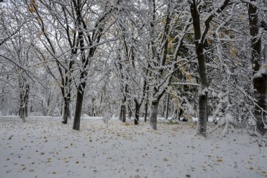 Bulgaristan 'ın Sofya kentindeki South Park' ın İnanılmaz Kış Panoraması