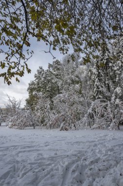 Bulgaristan 'ın Sofya kentindeki South Park' ın İnanılmaz Kış Panoraması