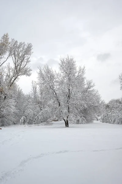 Bulgaristan 'ın Sofya kentindeki South Park' ın İnanılmaz Kış Panoraması