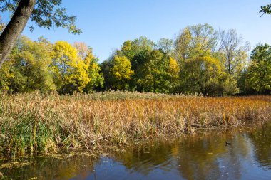 Bulgaristan 'ın Sofya kentindeki South Park' ın şaşırtıcı sonbahar manzarası