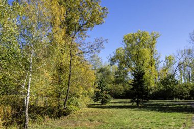 Bulgaristan 'ın Sofya kentindeki South Park' ın şaşırtıcı sonbahar manzarası