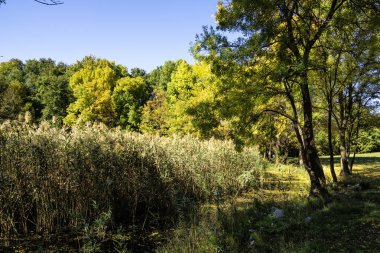 Bulgaristan 'ın Sofya kentindeki South Park' ın şaşırtıcı sonbahar manzarası