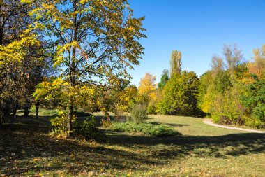 Bulgaristan 'ın Sofya kentindeki South Park' ın şaşırtıcı sonbahar manzarası