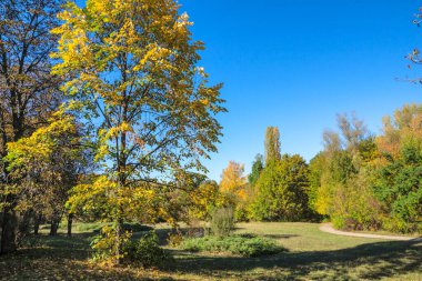 Bulgaristan 'ın Sofya kentindeki South Park' ın şaşırtıcı sonbahar manzarası