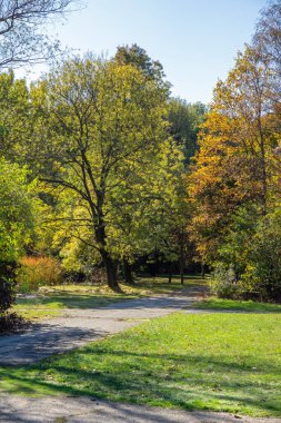 Bulgaristan 'ın Sofya kentindeki South Park' ın şaşırtıcı sonbahar manzarası