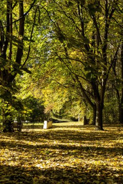 Bulgaristan 'ın Sofya kentindeki South Park' ın şaşırtıcı sonbahar manzarası