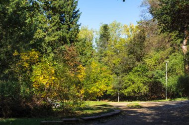 Bulgaristan 'ın Sofya kentindeki South Park' ın şaşırtıcı sonbahar manzarası