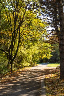 Bulgaristan 'ın Sofya kentindeki South Park' ın şaşırtıcı sonbahar manzarası