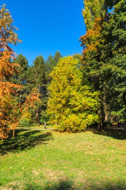 Bulgaristan 'ın Sofya kentindeki South Park' ın şaşırtıcı sonbahar manzarası