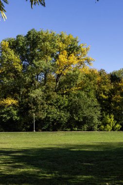 Bulgaristan 'ın Sofya kentindeki South Park' ın şaşırtıcı sonbahar manzarası