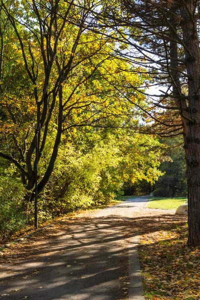 Bulgaristan 'ın Sofya kentindeki South Park' ın şaşırtıcı sonbahar manzarası