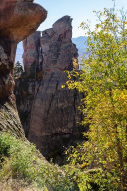 Belogradchik Kayalıkları, Vidin Bölgesi, Bulgaristan 'ın İnanılmaz Sonbahar Manzarası