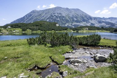 Bulgaristan 'ın Muratovo Gölü etrafındaki Pirin Dağı' nın şaşırtıcı yaz manzarası