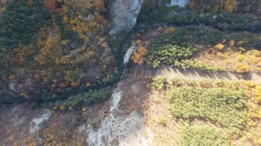 Bulgaristan 'ın Filibe Bölgesi' nin Yugovo köyü yakınlarındaki Rodop dağının şaşırtıcı sonbahar manzarası