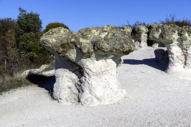 Bulgaristan 'ın Kardzhali bölgesindeki Beli plast köyü yakınlarındaki Kaya oluşumlu Mantar Mantarları