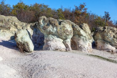 Bulgaristan 'ın Kardzhali bölgesindeki Beli plast köyü yakınlarındaki Kaya oluşumlu Mantar Mantarları