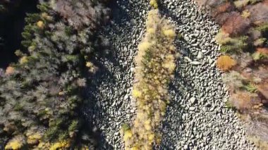 Bulgaristan 'ın başkenti Sofya' nın Vitosha Dağı 'ndaki Zlatnite Mostove (Altın Köprüler) adlı taştan nehrin hava sonbahar manzarası