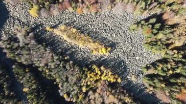 Bulgaristan 'ın başkenti Sofya' nın Vitosha Dağı 'ndaki Zlatnite Mostove (Altın Köprüler) adlı taştan nehrin hava sonbahar manzarası