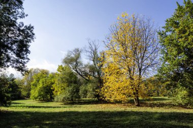 Bulgaristan 'ın Sofya kentindeki South Park' ın Muhteşem Sonbahar Manzarası