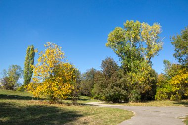 Bulgaristan 'ın Sofya kentindeki South Park' ın Muhteşem Sonbahar Manzarası