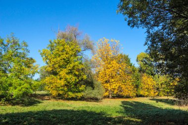 Bulgaristan 'ın Sofya kentindeki South Park' ın Muhteşem Sonbahar Manzarası