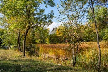 Bulgaristan 'ın Sofya kentindeki South Park' ın Muhteşem Sonbahar Manzarası