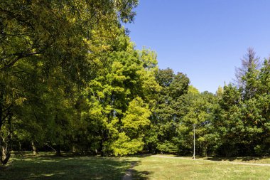 Bulgaristan 'ın Sofya kentindeki South Park' ın Muhteşem Sonbahar Manzarası