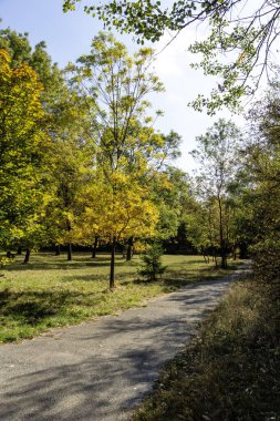 Bulgaristan 'ın Sofya kentindeki South Park' ın Muhteşem Sonbahar Manzarası