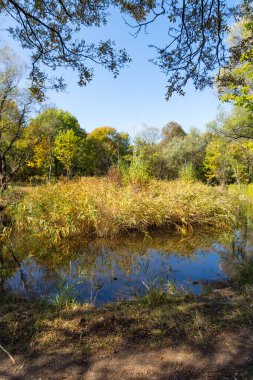 Bulgaristan 'ın Sofya kentindeki South Park' ın Muhteşem Sonbahar Manzarası