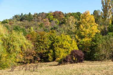 Bulgaristan 'ın Sofya kentindeki South Park' ın Muhteşem Sonbahar Manzarası