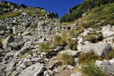 Bulgaristan 'ın Musala tepesi çevresindeki Rila Dağı' nın İnanılmaz Yaz Manzarası