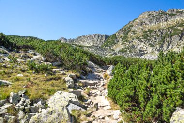 Bulgaristan 'ın Musala tepesi çevresindeki Rila Dağı' nın İnanılmaz Yaz Manzarası