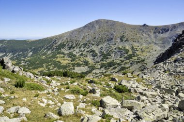 Bulgaristan 'ın Musala tepesi çevresindeki Rila Dağı' nın İnanılmaz Yaz Manzarası