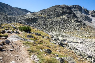 Bulgaristan 'ın Musala tepesi çevresindeki Rila Dağı' nın İnanılmaz Yaz Manzarası