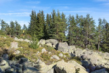Bulgaristan 'ın Vitosha Dağı' nın şaşırtıcı sonbahar manzarası