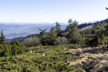 Bulgaristan 'ın Vitosha Dağı' nın şaşırtıcı sonbahar manzarası