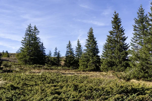 Bulgaristan 'ın Vitosha Dağı' nın şaşırtıcı sonbahar manzarası