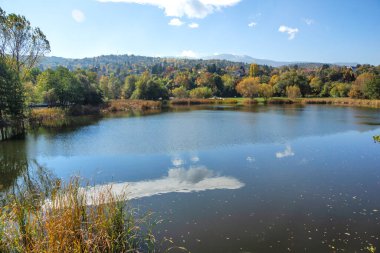 Pancharevo Gölü çevresindeki sonbahar manzarası, Sofya şehir bölgesi, Bulgaristan