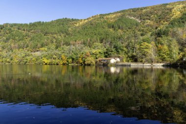 Pancharevo Gölü çevresindeki sonbahar manzarası, Sofya şehir bölgesi, Bulgaristan